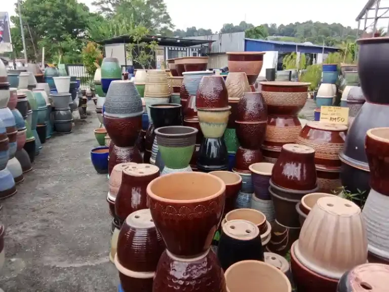 Nursery Kajang flower pots 768x576