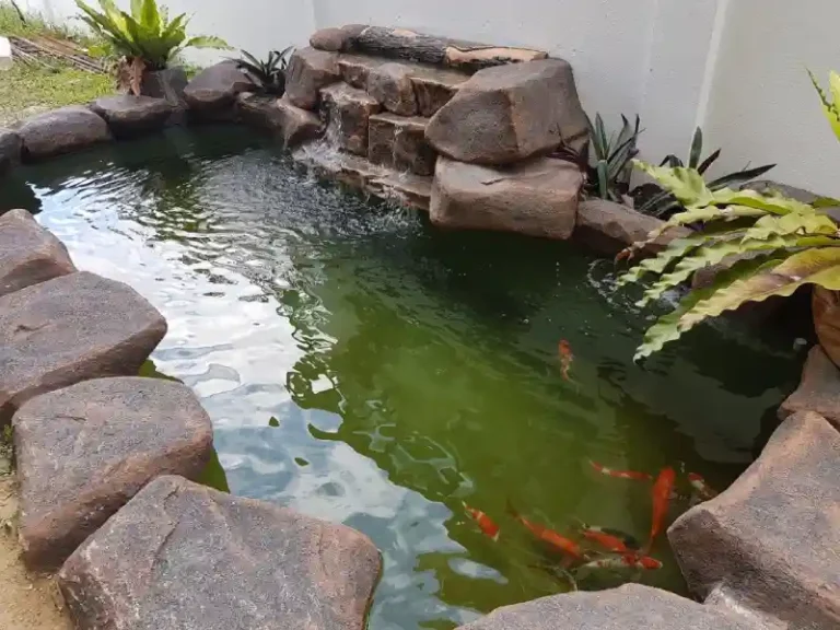 landscaped garden with koi pond oasis 768x576
