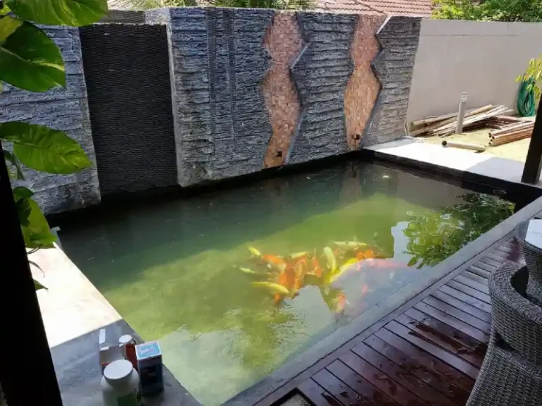modern luxury koi pond design selangor 768x576