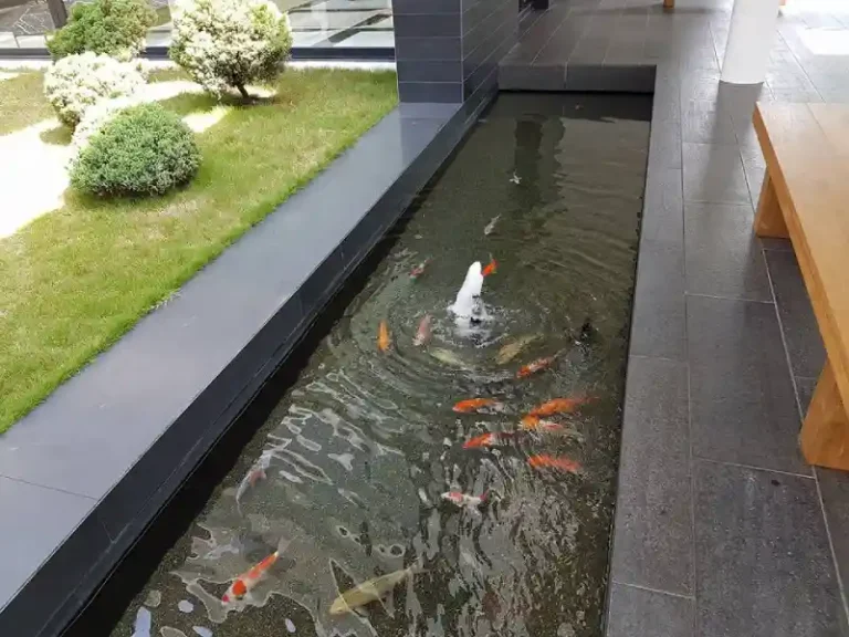 quality stonework construction koi pond edge 768x576