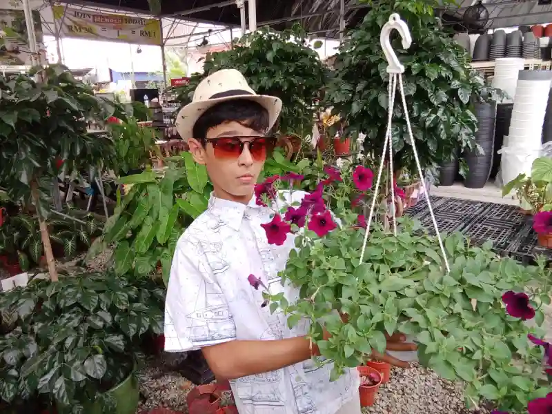 Beautiful petunia