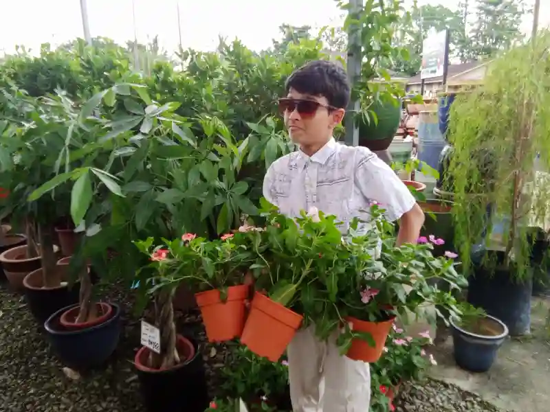 Taking all the plants